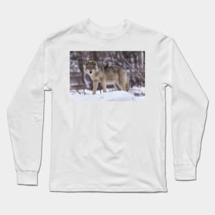 Timber wolf in winter Long Sleeve T-Shirt